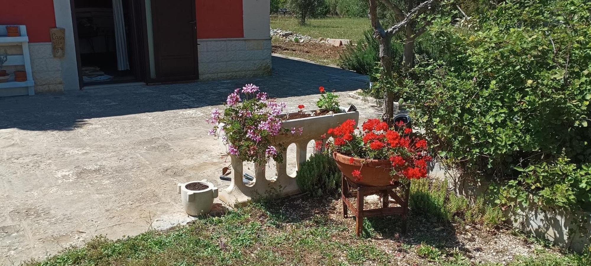 Casa Alle Vigne Polignano a Mare Buitenkant foto