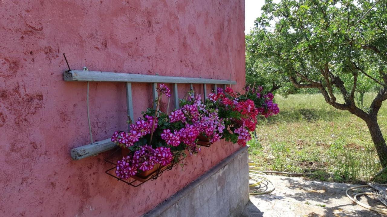 Casa Alle Vigne Polignano a Mare Buitenkant foto